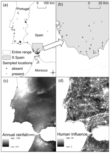 sampled locations of the carnivorous plant species drosophyllum lusitanicum in the iberian peninsula paniw et al 2015 biol cons